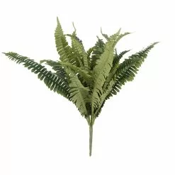 Promo ✔️ Boston Fern Bush Fern Collection by Ashland® ✔️