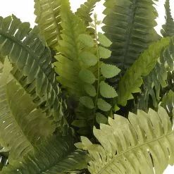 Promo ✔️ Boston Fern Bush Fern Collection by Ashland® ✔️ -Ashland Sale Store 10309260 2