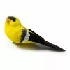 Best reviews of 🔥 Finch Bird by Ashland® ❤️ -Ashland Sale Store 10309954 21