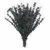 Flash Sale 🧨 Green Eucalyptus Bunch by Ashland®, 16oz. ⌛ -Ashland Sale Store 10322552 1