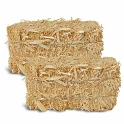Top 10 🛒 Decorative Straw Bales by Ashland® 🥰