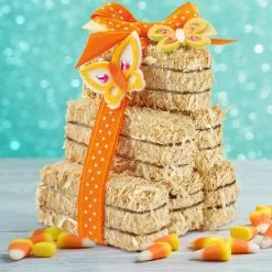 Top 10 🛒 Decorative Straw Bales by Ashland® 🥰 -Ashland Sale Store 10322651 15