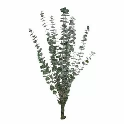 Coupon 😉 Ashland® Eucalyptus Bunch, 4 oz. ⭐