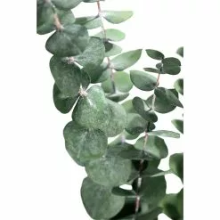 Coupon 😉 Ashland® Eucalyptus Bunch, 4 oz. ⭐ -Ashland Sale Store 10333062 2