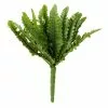 Top 10 ⭐ Ashland® Fern Collection Mini Boston Fern Bush 😍 -Ashland Sale Store 10335158