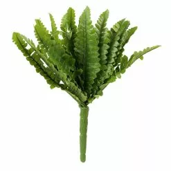 Top 10 ⭐ Ashland® Fern Collection Mini Boston Fern Bush 😍