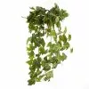 Cheapest 🧨 German Ivy Bush Ivy Collection by Ashland® ✔️ 2 Cheapest 🧨 German Ivy Bush Ivy Collection by Ashland® ✔️ -Ashland Sale Store 10335273 01
