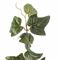 Cheapest 🧨 German Ivy Bush Ivy Collection by Ashland® ✔️ -Ashland Sale Store 10335273 20