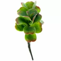 Buy ✨ Green & Orange Succulent Pick by Ashland® ❤️
