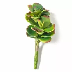 Buy ✨ Green & Orange Succulent Pick by Ashland® ❤️ -Ashland Sale Store 10337814 21