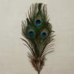 Promo ⌛ Peacock Feather Picks by Ashland® 🎉 -Ashland Sale Store 10355707 25