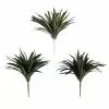 Cheapest 🥰 12 Pack: Assorted Cordyline Bush by Ashland® ❤️