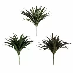 Cheapest 🥰 12 Pack: Assorted Cordyline Bush by Ashland® ❤️