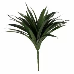 Budget ✔️ Assorted Cordyline Bush by Ashland® ❤️ -Ashland Sale Store 10356827 2