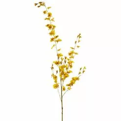 Wholesale ⭐ Dancing Orchid by Ashland® 👏 -Ashland Sale Store 10381029 1