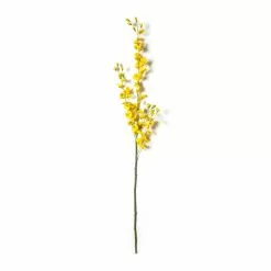 Wholesale ⭐ Dancing Orchid by Ashland® 👏