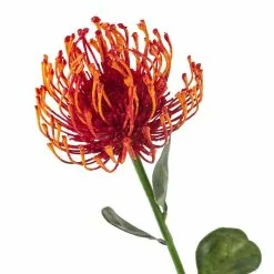 Hot Sale ❤️ Tropical Needle Protea Spray by Ashland® ❤️ -Ashland Sale Store 10381033 20