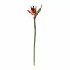 Buy ⭐ Tropical Bird of Paradise Stem by Ashland® 🧨 -Ashland Sale Store 10390624 21