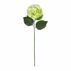 Outlet 😀 Garden Blooms Hydrangea Stem by Ashland® ✔️