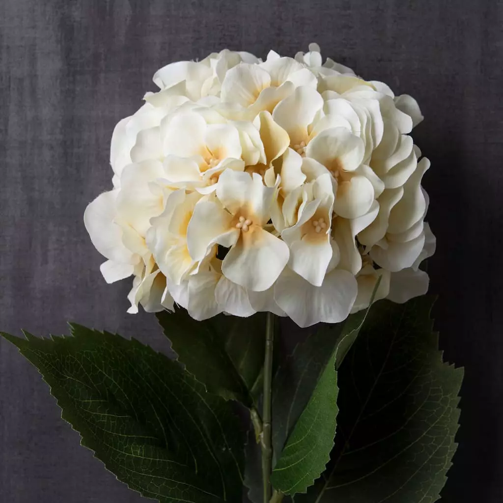 Discount 🥰 Real Touch™ White Orlane Rose Spray by Ashland® 🎉 4 Discount 🥰 Real Touch™ White Orlane Rose Spray by Ashland® 🎉 - Image 2