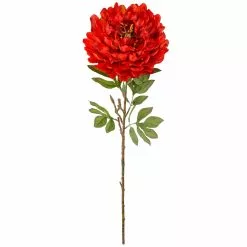 Budget ⭐ 12 Pack: Red Peony Stem by Ashland® ⭐