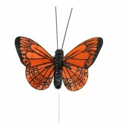 Best reviews of 👏 Bright Butterflies by Ashland® 😍 -Ashland Sale Store 10407687 3