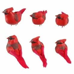 Budget 🛒 Red Cardinal Set by Ashland® 🥰