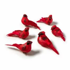 Budget 🛒 Red Cardinal Set by Ashland® 🥰 -Ashland Sale Store 10407691 21