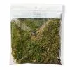 Deals ✨ Forest Green Preserved Moss by Ashland® ⭐ -Ashland Sale Store 10407975 20