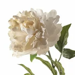 Cheap 👍 White Peony Spray by Ashland® Classic Traditions™ ✨ -Ashland Sale Store 10430216 20