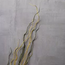 Flash Sale ❤️ Tropical Twig Branch by Ashland® ✔️ -Ashland Sale Store 10430277 22