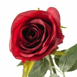 Hot Sale 👍 Dutch Rose Spray by Ashland® 😍 -Ashland Sale Store 10430282 20