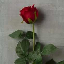 Hot Sale 👍 Dutch Rose Spray by Ashland® 😍 -Ashland Sale Store 10430282 25