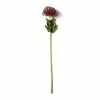 Cheap 🧨 Red Pincushion Protea Spray by Ashland® ✔️ -Ashland Sale Store 10430478 21
