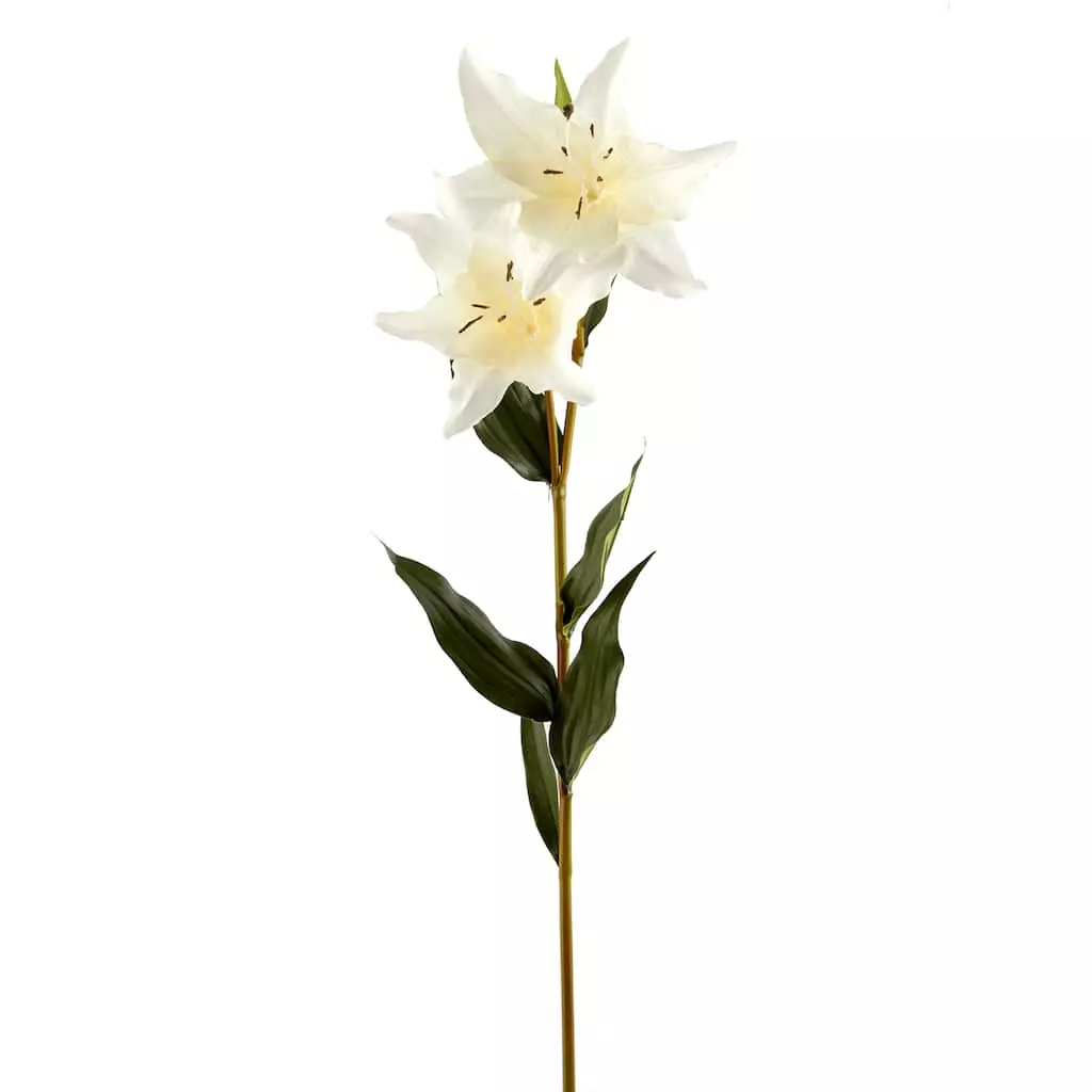 Coupon 😉 White Lily Stem by Ashland Classic Traditions™ ✔️ 6 Coupon 😉 White Lily Stem by Ashland Classic Traditions™ ✔️ - Image 4