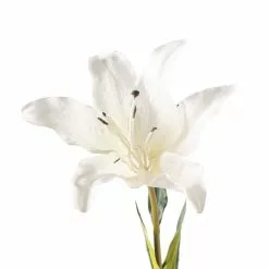 Coupon 😉 White Lily Stem by Ashland Classic Traditions™ ✔️ 8 Coupon 😉 White Lily Stem by Ashland Classic Traditions™ ✔️ -Ashland Sale Store 10450085 20