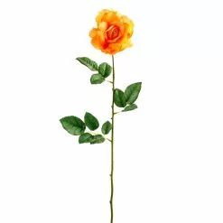 Best Pirce 🛒 Salmon Rose Stem by Ashland® 👏