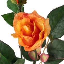 Wholesale 🌟 Rose Spray by Ashland® ✔️ -Ashland Sale Store 10450090 20