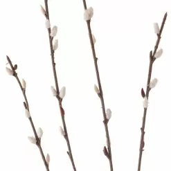 Flash Sale 🎁 Pussy Willow Stem by Ashland® ✨ -Ashland Sale Store 10450208 20