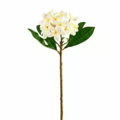 Coupon ❤️ White Frangipani Stem by Ashland® 🌟