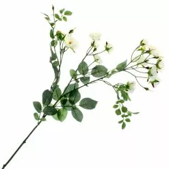 Best deal ✨ Cream Kate Rose Stem by Ashland® 🎉 -Ashland Sale Store 10451129 1