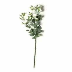 Best deal ✨ Cream Kate Rose Stem by Ashland® 🎉