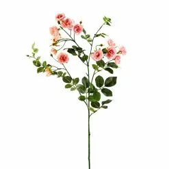 Budget ✔️ 12 Pack: Pink Kate Rose Spray by Ashland® ⌛