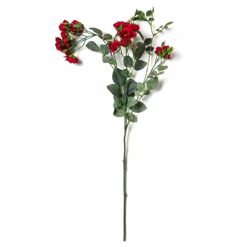 Best deal ✔️ Kate Rose Spray by Ashland® ⭐ 5 Best deal ✔️ Kate Rose Spray by Ashland® ⭐ - Image 3