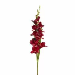 Hot Sale 😉 12 Pack: Burgundy Gladiolus Stem by Ashland® ✨