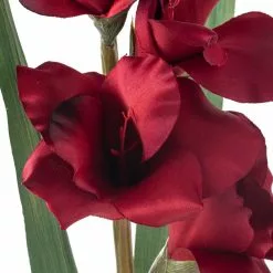 Cheapest 👍 Gladiolus Stem by Ashland® ✨ -Ashland Sale Store 10451146 20