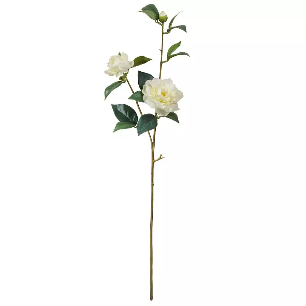 Coupon ๐ 6 Pack: White Camellia Spray by Ashland® ๐ 3 Coupon ๐ 6 Pack: White Camellia Spray by Ashland® ๐