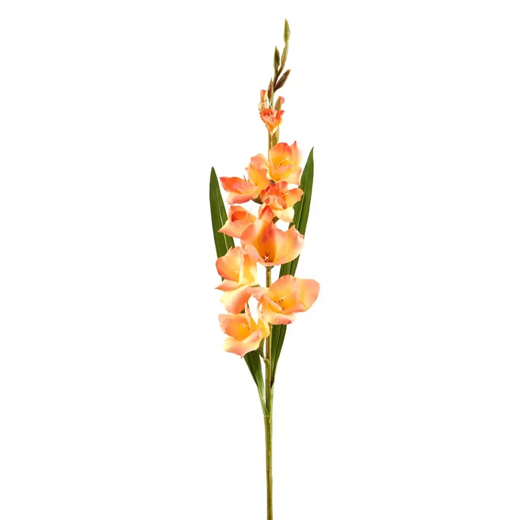 New ✔️ 12 Pack: Salmon Gladiolus Stem by Ashland® ✨ 3 New ✔️ 12 Pack: Salmon Gladiolus Stem by Ashland® ✨