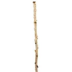 Cheapest 🔥 Ashland® Natural River Birch ⌛