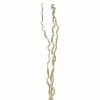 New ⌛ Cream Curly Willow Branch Bundle by Ashland® ⌛ -Ashland Sale Store 10453494 2